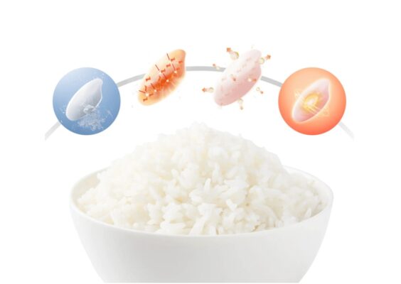 Nồi Cơm Điện Tử Toshiba RC-10DR5UVN