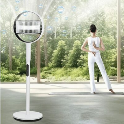 Quạt tuần hoàn Toshiba